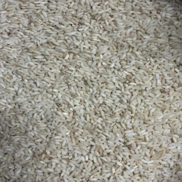White Rajamudi Rice